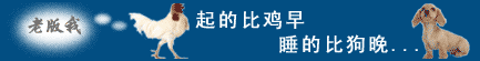 数码视频在线 DV OnLine. 数字摄像机 数字视频编辑处理 视频采集卡 流媒体IPTV